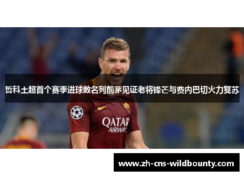 哲科土超首个赛季进球数名列前茅见证老将锋芒与费内巴切火力复苏 哲科土超首个赛季进球数名列前茅见证老将锋芒与费内巴切火力复苏